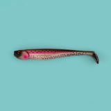 Rainbow Trout