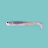 Mosquito Fish