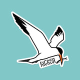 Sticker Tern
